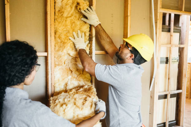 Best Affordable Insulation Services  in Little Cypress, TX